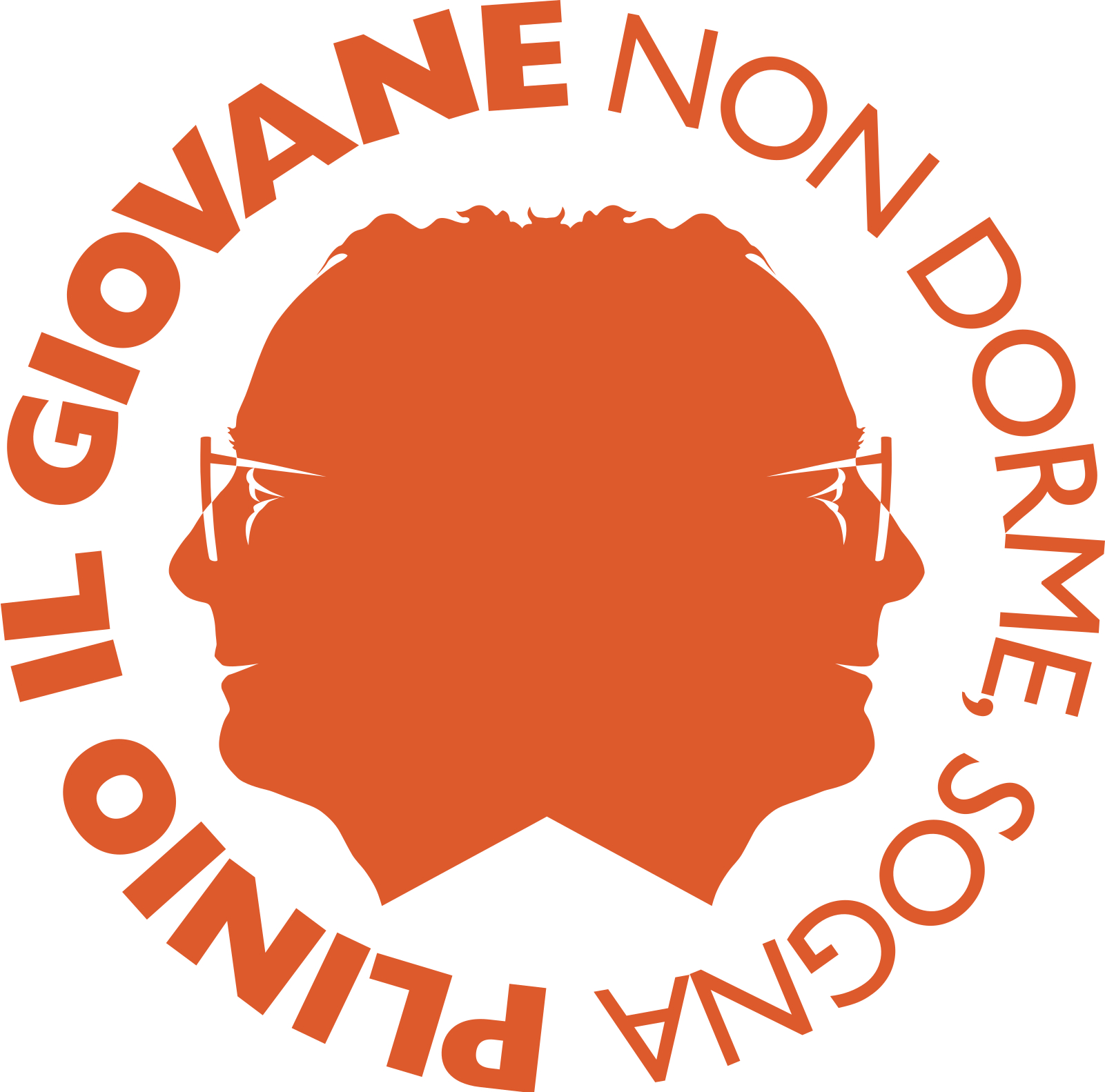 Plinio il giovane logo